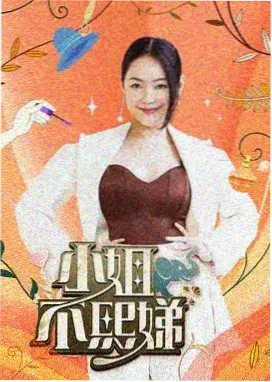 乘风2024 综艺节目